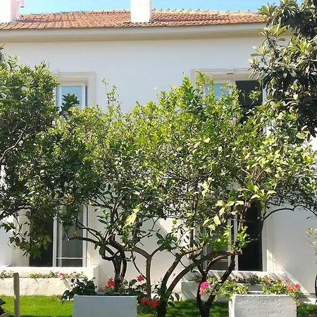 Costa Marina Hotel Bodrum
